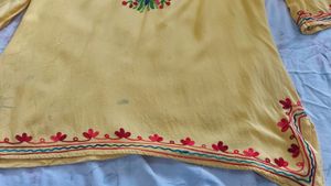 Pretty Kashmiri Embroidery Short Kurta