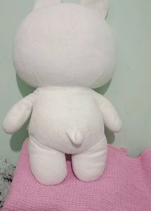 Teddy