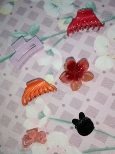 Hair Clip