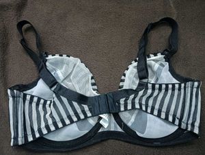 Striped Lace Bra 34E