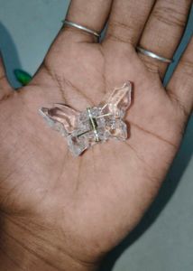 Mini Glass Butterfly Clutch