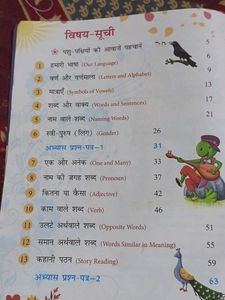 Vyakaran Pankhuri Hindi Grammar Book