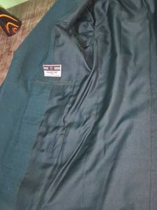 Classic Blazer Paint