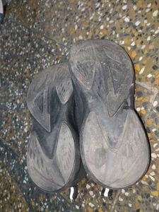 Campus Running Shoes