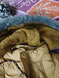 New Women&#39;s Puffer Jacket