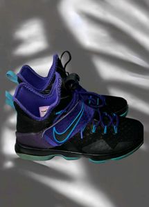 Nike LeBron James 23 OG