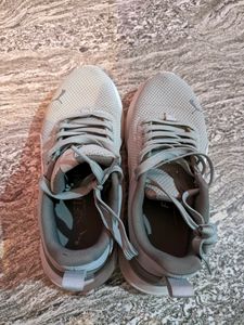 Puma Anzarun Lite Sneaker 👟 Revised Price 🏷️