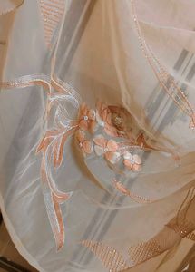 Peach Embellished Saree