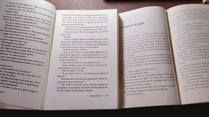 Colleen Hoover&#39;s &#39;It Ends With Us&#39; Duology
