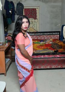 New Peach &amp; Lavender Saree With Lycra Blouse