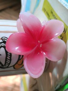 Hair claw Clip