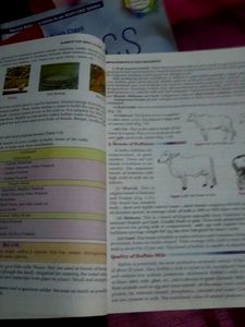 Lakhmir Singh i.e S.Chand School (Bio,Chem&amp;Phy)SET