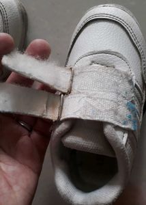 White Sport Shoes