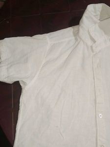 BEARHUNT T-SHIRT