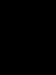 Sdggg