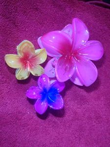 Flower Hair Clips