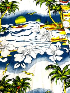 🔥men Beach 🏝️ Shirt🔥