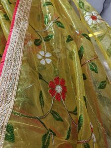Brand New Embroidery Organza Saree For Kids