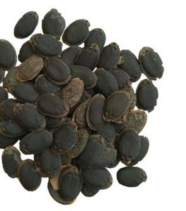 Assorted Seeds