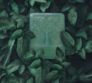 10 Organic Fruit Soaps@Rs500