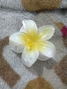 Tropical Flower Hair Clips/Claws - Set of 3