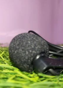 Best Mic