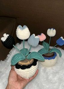 Crochet Tulip Plant Decorations Any One