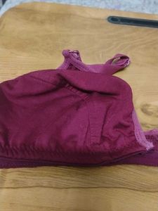 Plum Bra