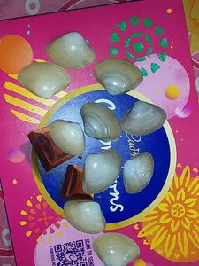 10 Original Sea Shells.....