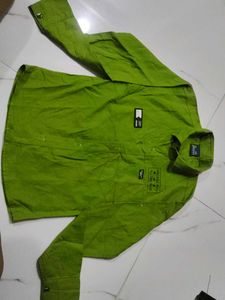 Green Button-Down Shirt
