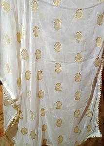 Golden Zari Chiffon Dupatta
