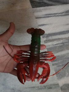 Sea Animals Imported High Quality Big Size