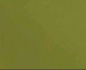 Olive Green Color Beautiful  Saree