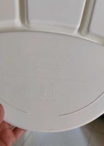 Divided Dinner Plate With Free Boxes