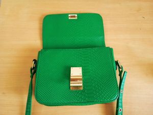 Celine Green Python Medium Classic Sling Bag