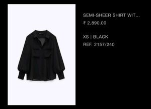 Zara Sheer Shirt