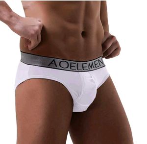 AOELEMEN Sill White Briefs Separation Tora