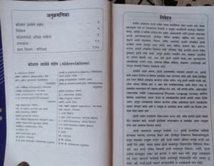 Advanced Dictionary (English to English to Marathi) Navneet Publication