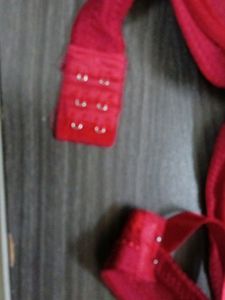 Embroidery Padded Bra