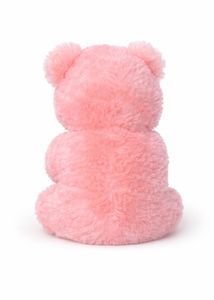 Pink Teddy Bear