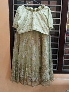 Embroidered Tulle Skirt