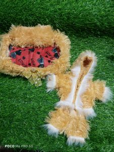 Cute Doll Outfit with Bed