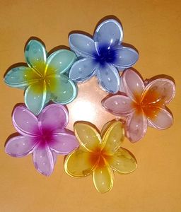 Flower Hair Clips🌸🌼
