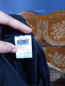 Mens Shorts