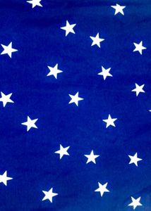 Navy Star Dress