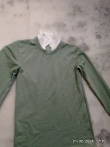 Tshirt Olive Green Light Colour Casual