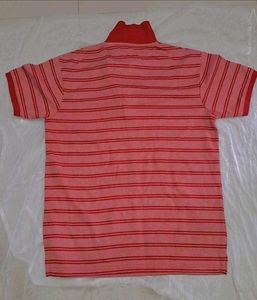 Striped Polo Shirt