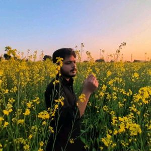 Classic Black Button-Down Shirt