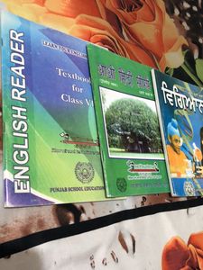 Class 6th Pseb Science, Hindi , Computer Sci.