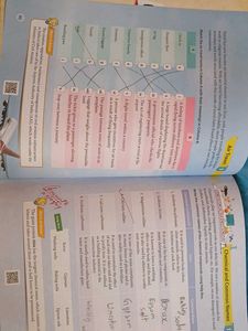 Next General Knowledge - Grade 7